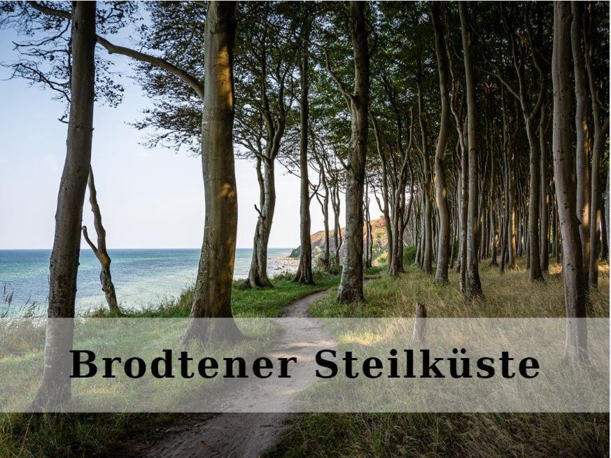 Top - Apartment Mit Aussicht تيميندورفير ستراند المظهر الخارجي الصورة